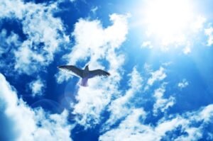 Un mundo sin Césares: La comunidad ATProto reconstruye la web para devolver el poder a la gente.