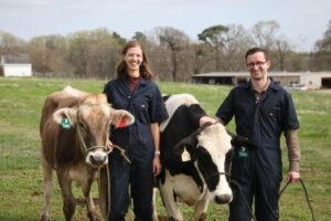 Bioma de Huella Mejora Nutrición de Vacas y Reduce Eructos de Metano
