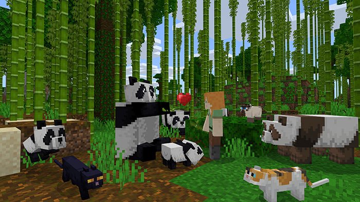 Imagem destacada